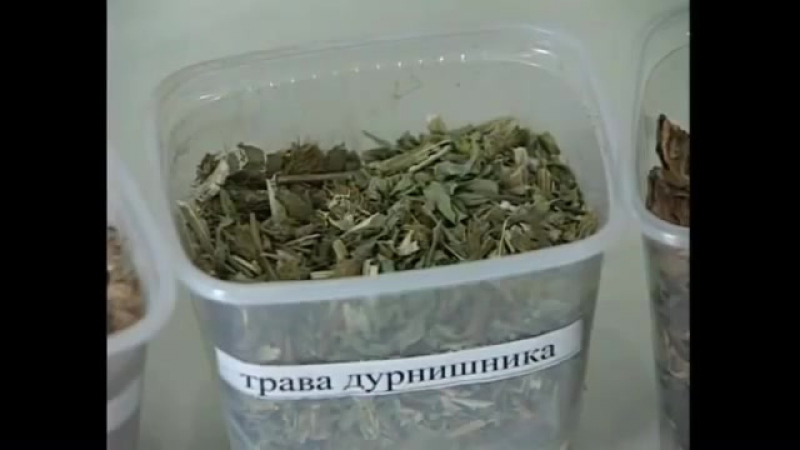 Лечебные травы подборка на все случаи жизни