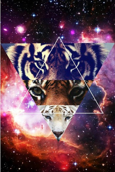 Соня Шарапова, Россия, Москва