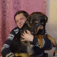Сергей Портнов
