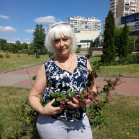Светлана Барановская