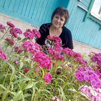 Елена Герасименко