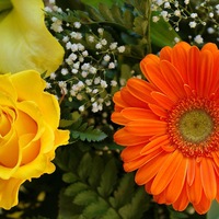 Марина Клименко