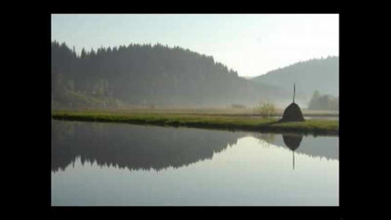 Cutthroat feat Сер Ш Город (Миньяр