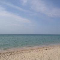 Светлана Яковлева