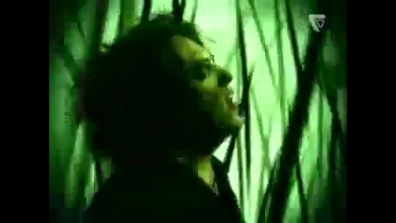 The Cure Taking
