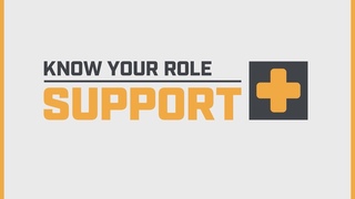 Know Your Role: Support