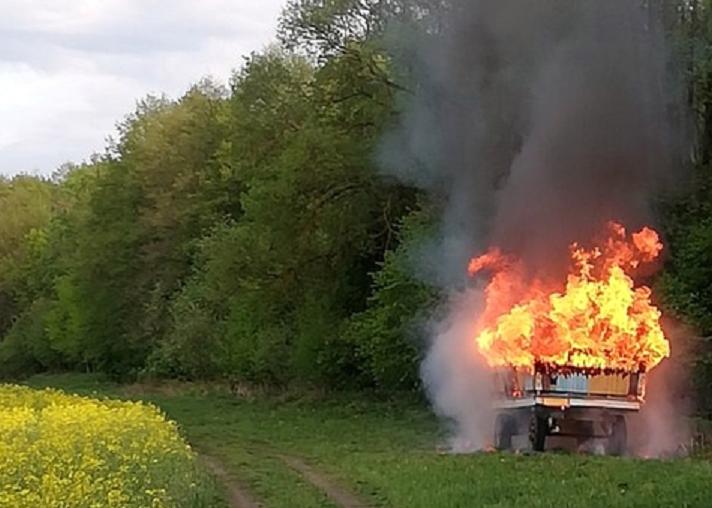 В КЧР пчелы лишились жилья