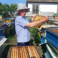 Анатолий Мазур | 