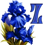 синий ирис алфавит, image #23