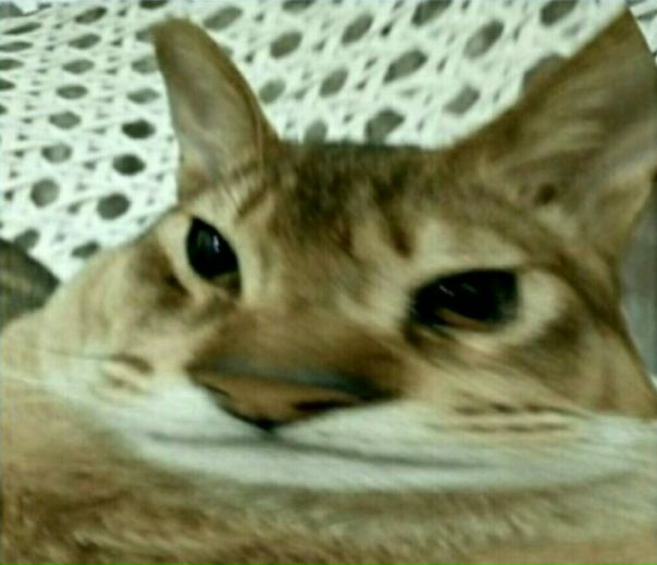 Максим Белозёров, Россия