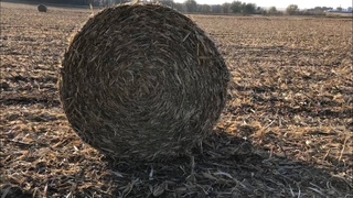 Why Do Farmers Bale Corn Stalks???