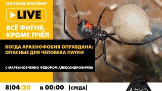 18+ Ночной АРХЭфир Все фигня, кроме пчел с Мартыновченко Фёдором Александровичем