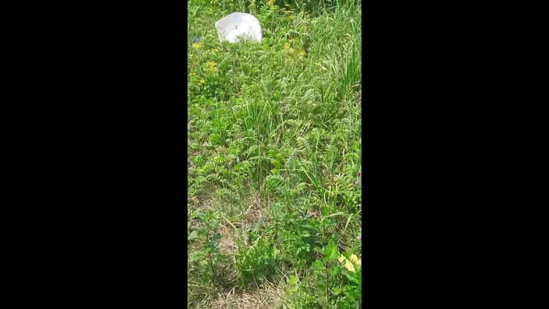 20160730_122127.wmv