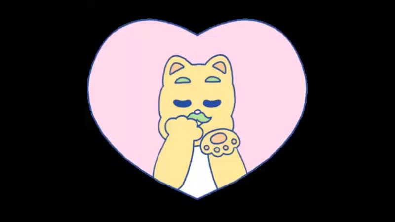 Kisscat день. Kisscat имя. Kisscat имя. Kiss cat актриса 365. Kisscat модель.