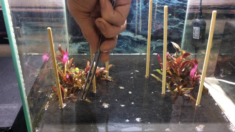 Видео от Glamur i