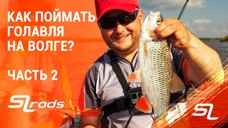 И снова дуплет! Как поймать голавля на Волге В гостях у Валерия Новосадова. Часть вторая.