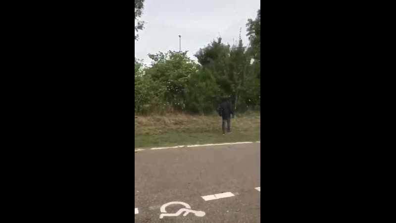 En faisant une halte sur une aire de repos, cette famille anglaise a eu une grosse
