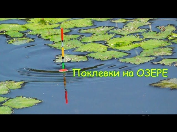 Рыбалка на Озере, Ловля Карася на Поплавок и Поплавок с