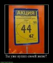 Фотография Настя Золотарева