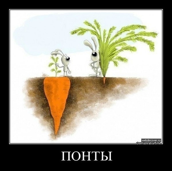 №51, Марина Марина №51, Марина Марина