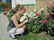 №1 Елена Никитина 24.09.1987: профиль, фото, статус - ВКонтакте