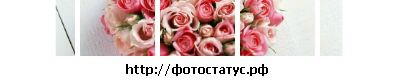 №13 Вера Ходневич 29.08: профиль, фото, статус - ВКонтакте №13 Вера Ходневич 29.08: профиль, фото, статус - ВКонтакте