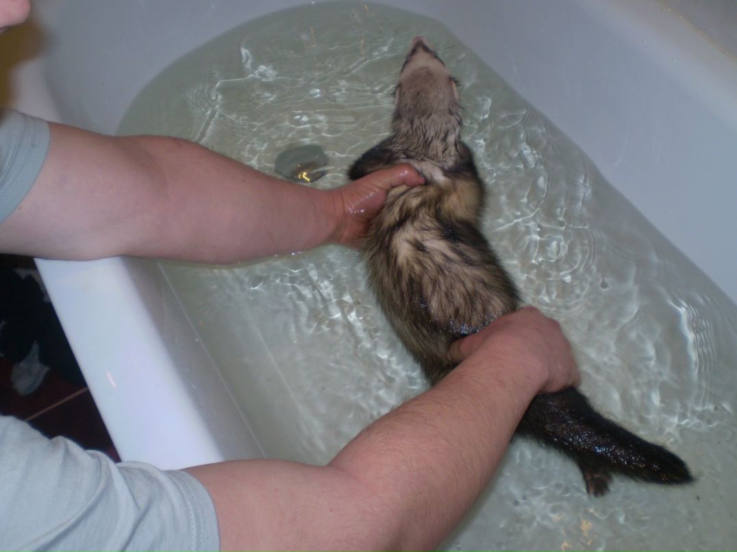 Сергей Лобаков | Москва