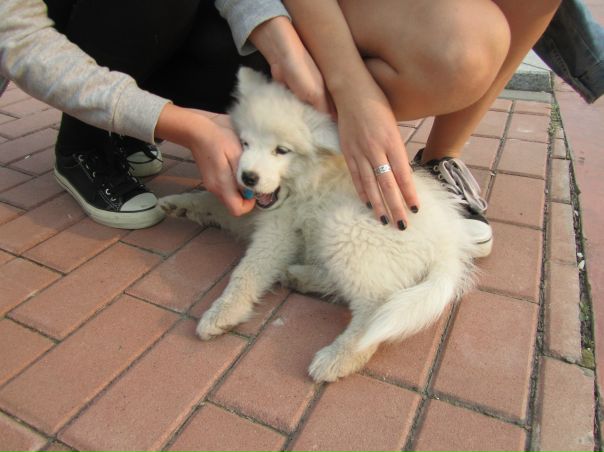 №2, Наташа Рыбкина №2, Наташа Рыбкина