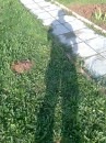 Фотография Илья Пруцкий