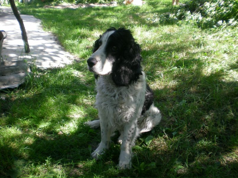 Алекс Якименко | Киев