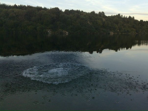 №19, Марк Берковской №19, Марк Берковской