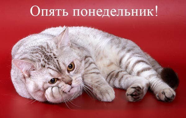 №147, Анастасия Кабзина №147, Анастасия Кабзина