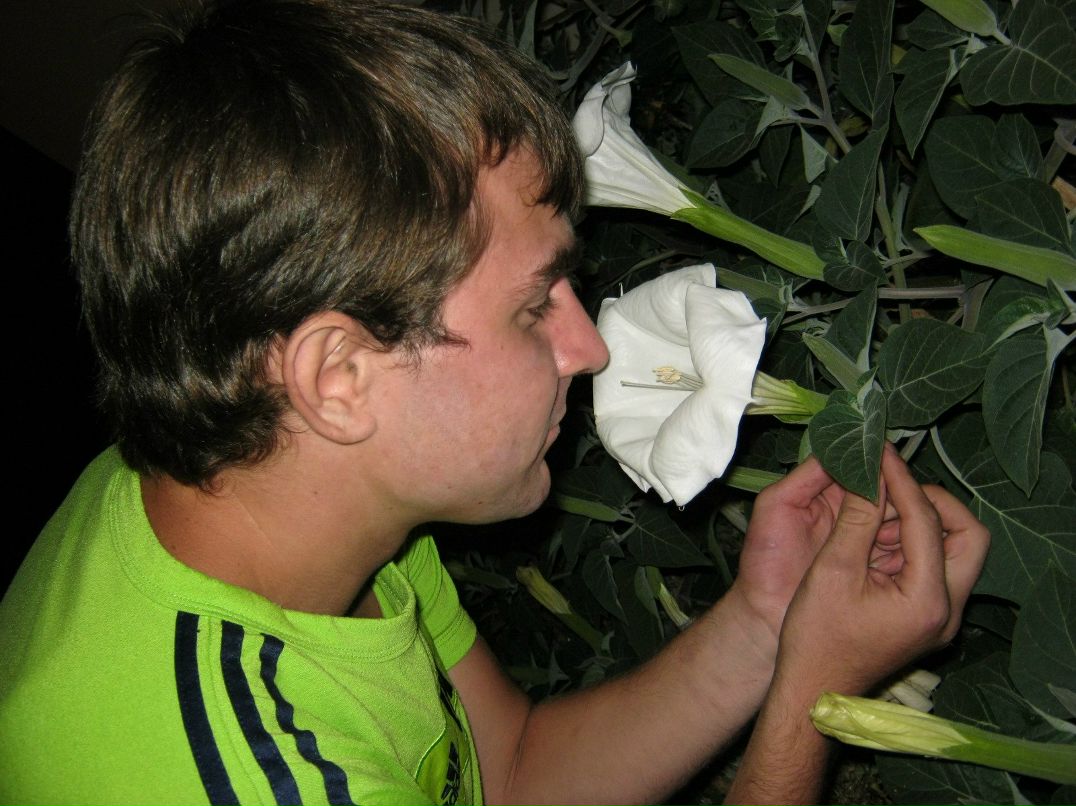 Виктор Ергеев | Одесса