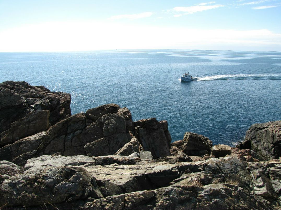 Егор Вехов | Amherst