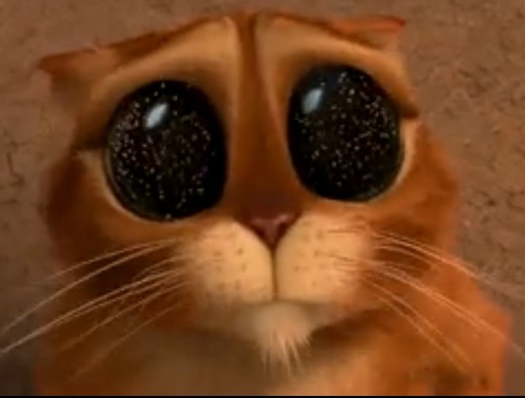 Александр Спиридонов | Новокузнецк