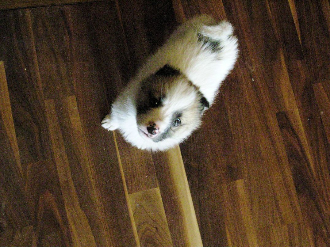 Vera Hot | Москва