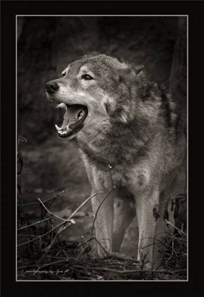 Ахмет Кадыргулов ... | Екатеринбург