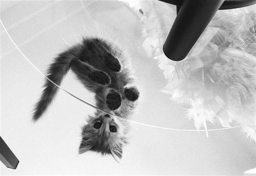 №13, Полинка Батикова, Екатеринбург №13, Полинка Батикова, Екатеринбург