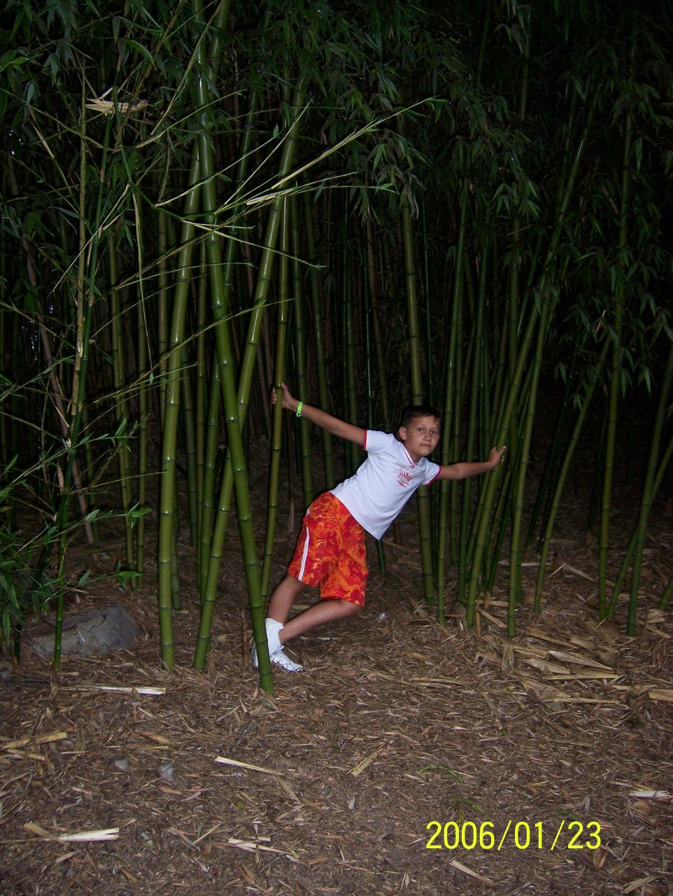 Просто Дмитрий | Рязань