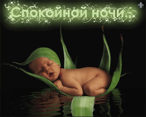 Юра Кушнір | Калуш