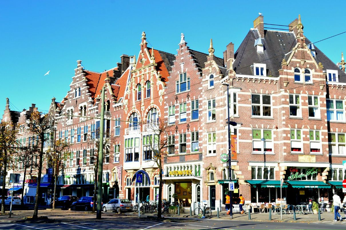 Ксения Виват | Москва