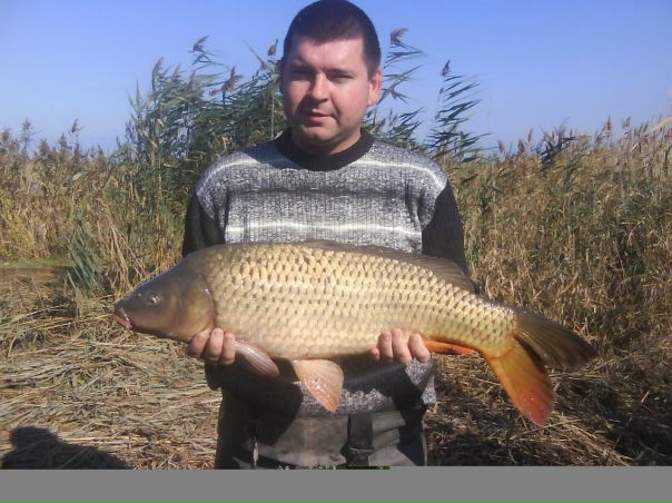 №90, Владимир Шевченко №90, Владимир Шевченко