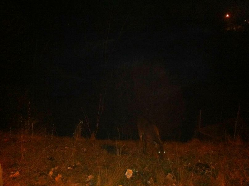 №166, Karina Salyuk, Toronto №166, Karina Salyuk, Toronto