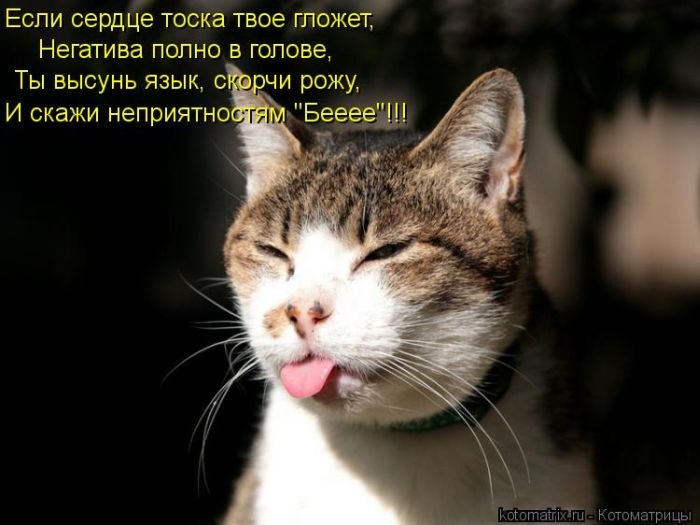 Елена Шмелева | Мурманск