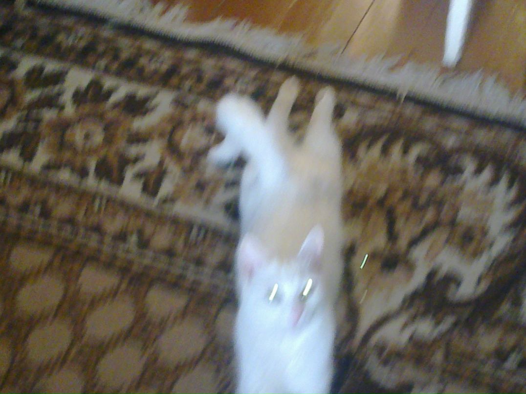 Владислав Мамотов VL4DEK | Омск