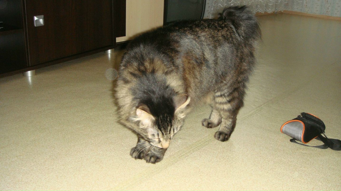 Айгуль Гилязева | Набережные Челны