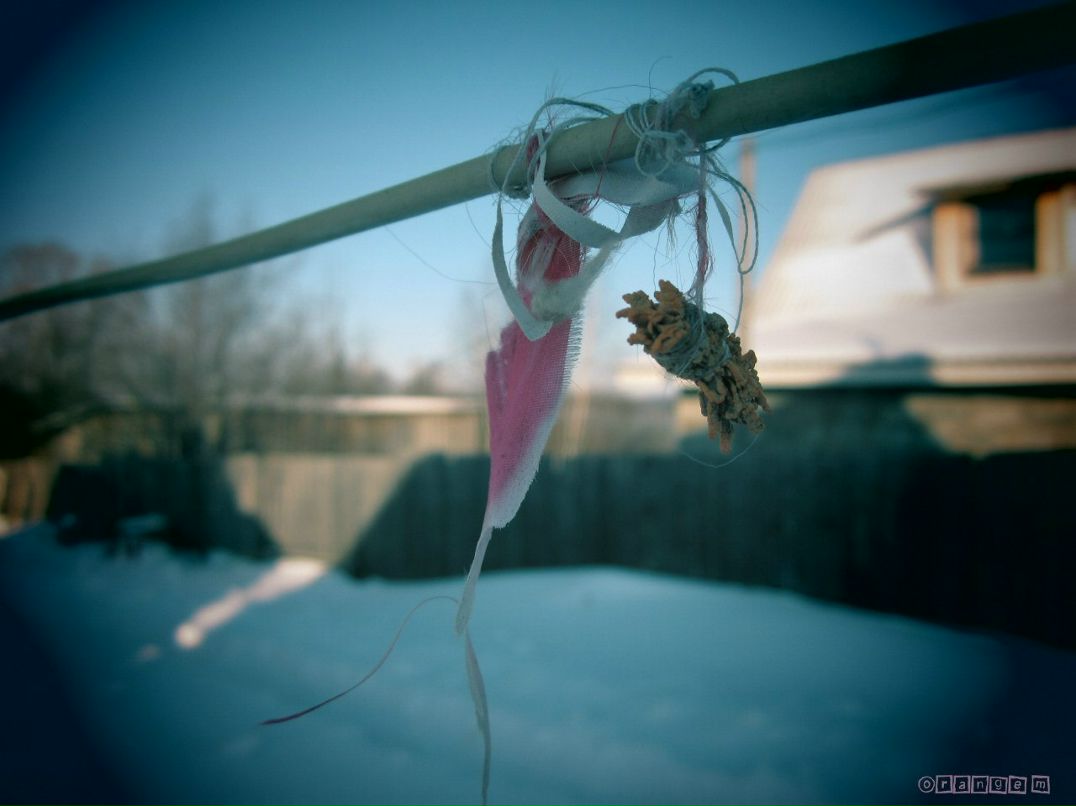 Максим Бронников | Ижевск