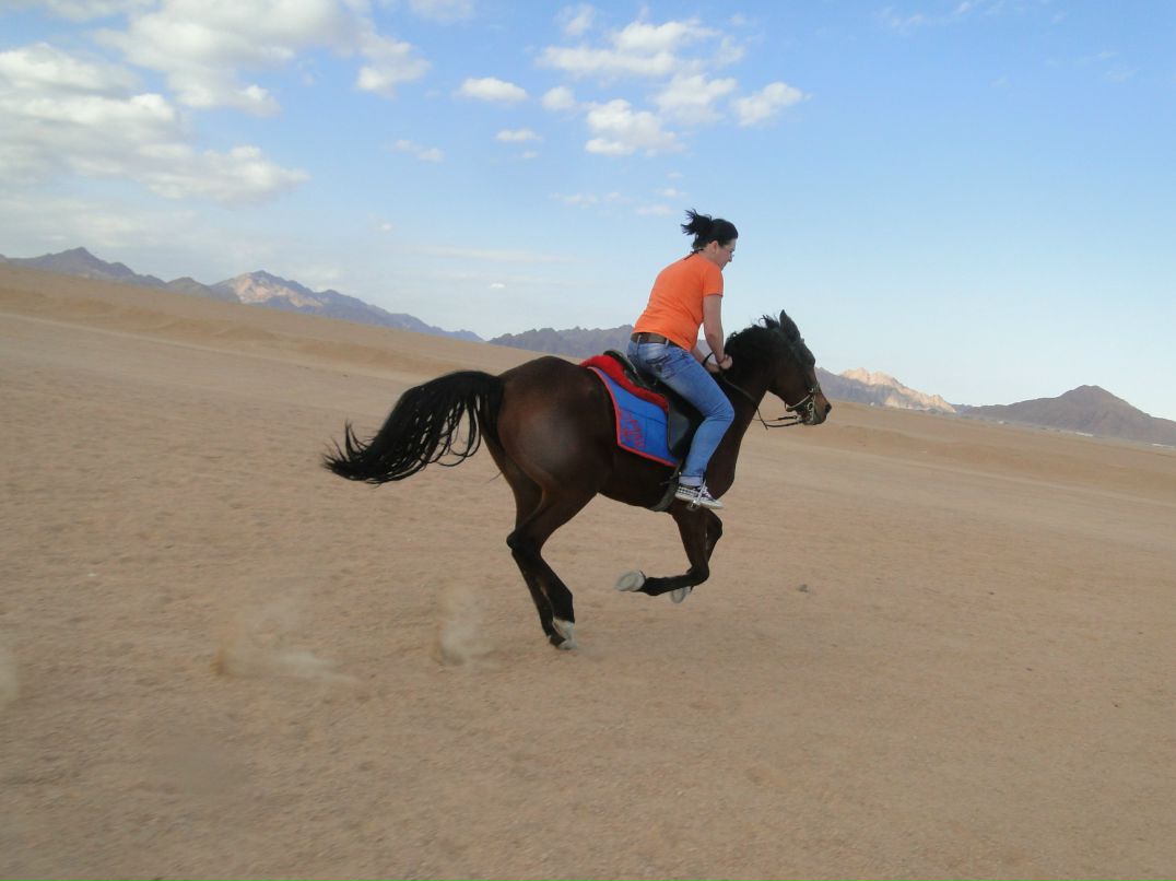 Анна Измайлова | Москва