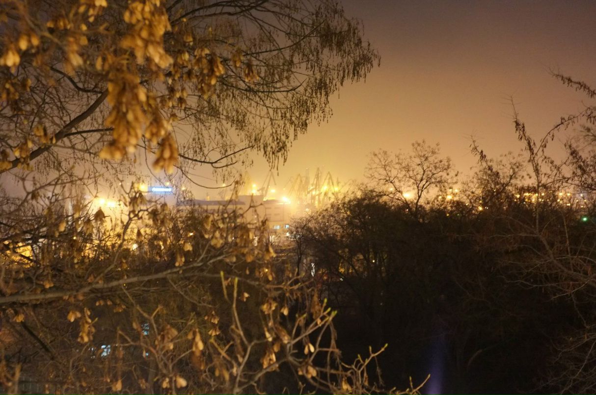 Дашкин Гаврилова malyek | Москва