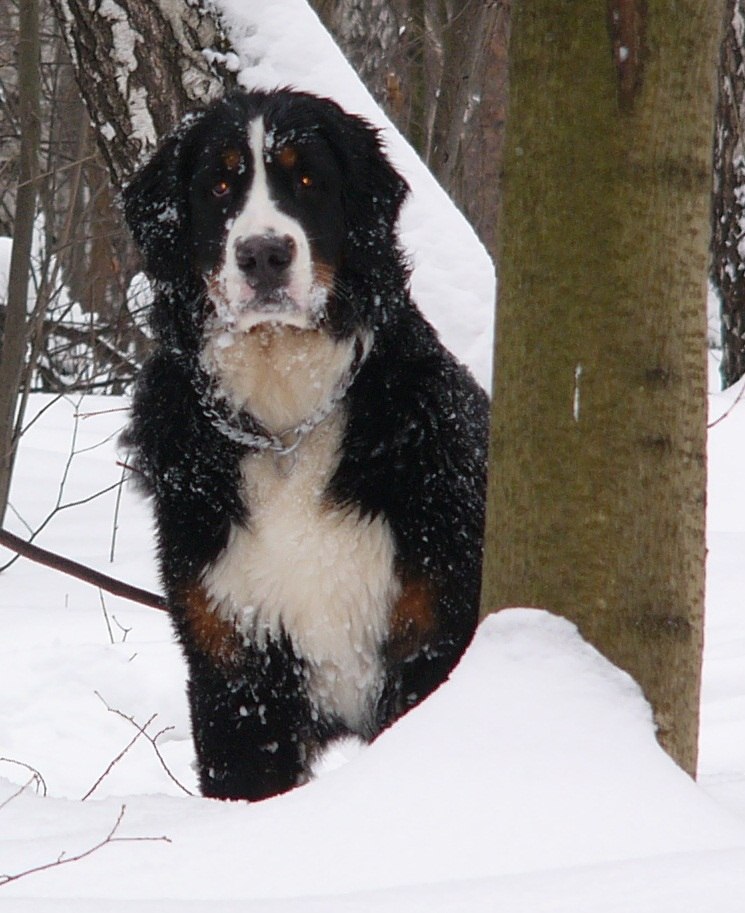 Виктория Муретова | Москва